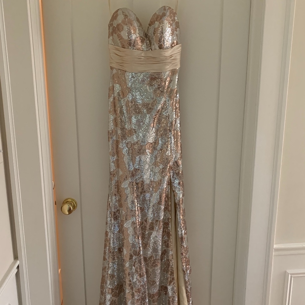 Gorgeous sparkling evening gown